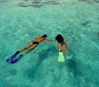 Snorkeling 